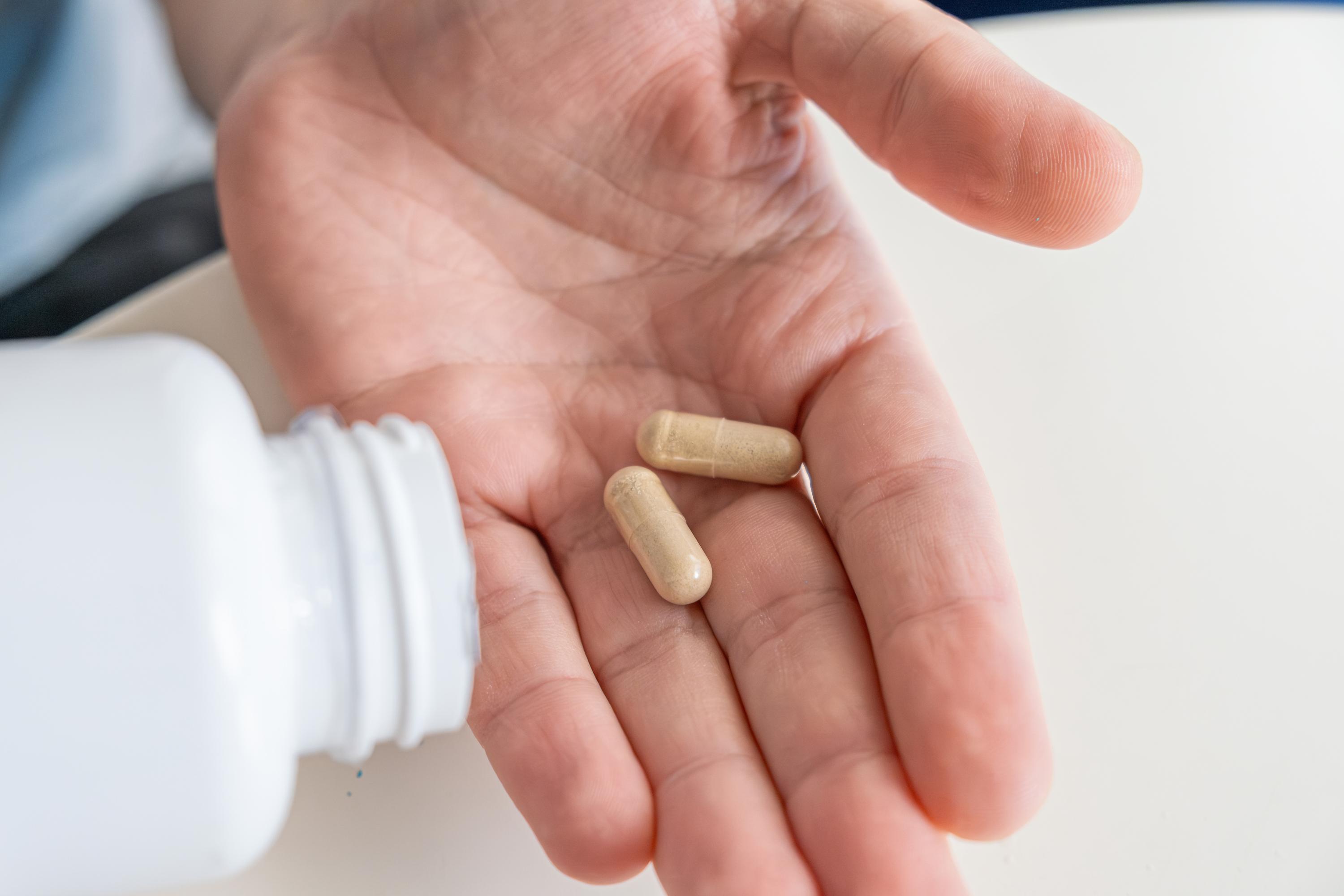 Probiotics for Beginners: What to Know Before You Start
